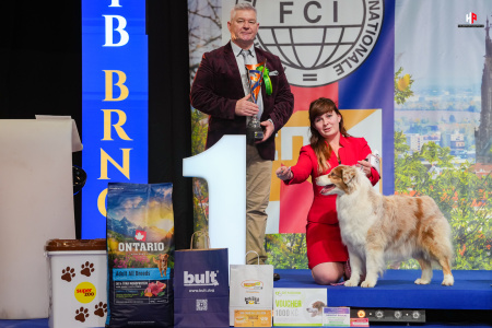 LH101116_hajekphotography.cz