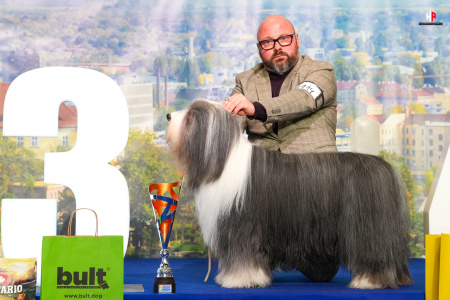 LH101487_hajekphotography.cz