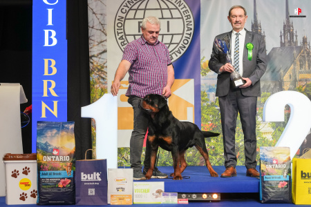 LH103240_hajekphotography.cz