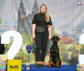 LH106355_hajekphotography.cz