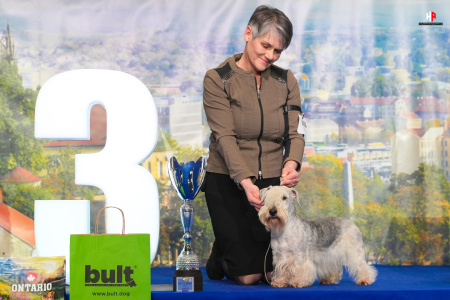 LH106957_hajekphotography.cz