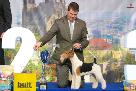 LH106963_hajekphotography.cz