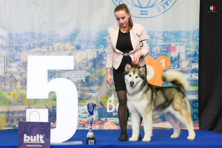 LH107562_hajekphotography.cz