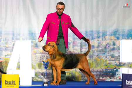 LH107778_hajekphotography.cz