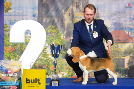 LH107798_hajekphotography.cz