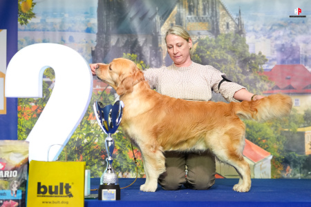 LH108529_hajekphotography.cz