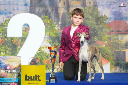 LH109175_hajekphotography.cz