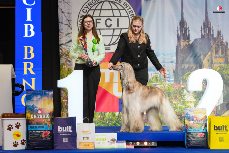 LH109484_hajekphotography.cz