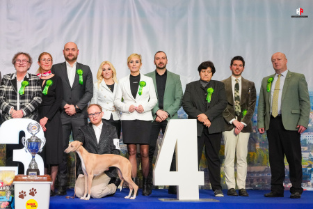 LH206561_hajekphotography.cz