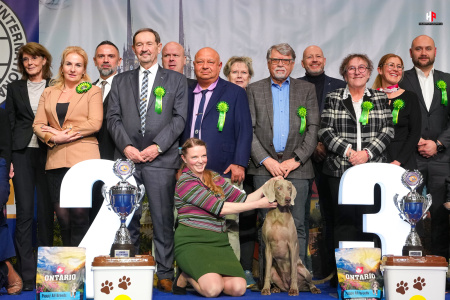 LH206582_hajekphotography.cz