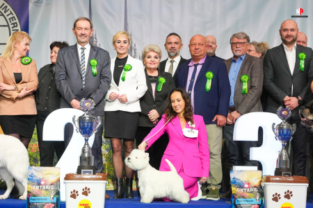 LH206835_hajekphotography.cz