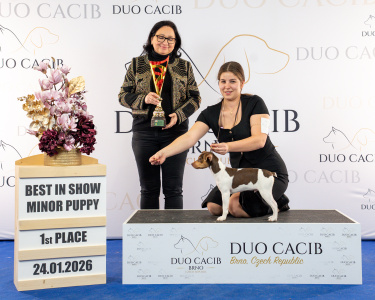 duoCACIB_final_sat (105)