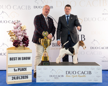 duoCACIB_final_sat (3)