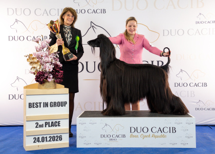 duoCACIB_final_sat (7)