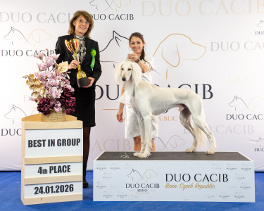 duoCACIB_final_sat (9)