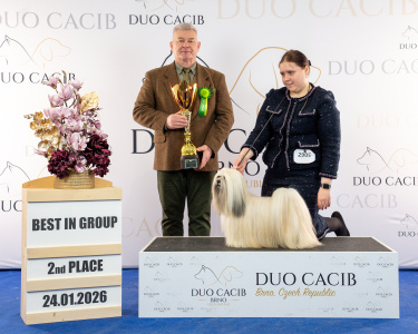 duoCACIB_final_sat (15)