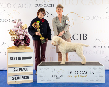 duoCACIB_final_sat (20)