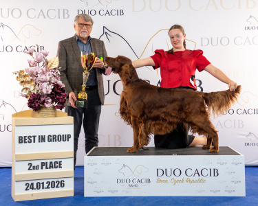 duoCACIB_final_sat (23)