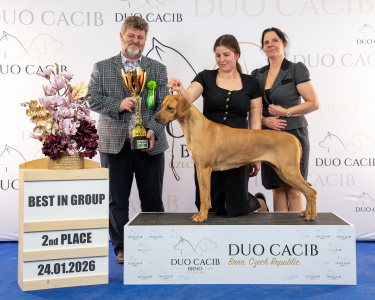 duoCACIB_final_sat (29)