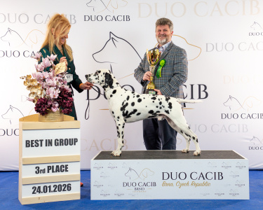 duoCACIB_final_sat (30)