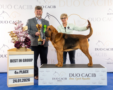 duoCACIB_final_sat (31)