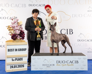 duoCACIB_final_sat (36)