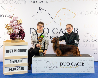 duoCACIB_final_sat (41)