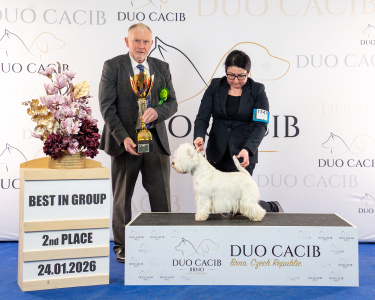 duoCACIB_final_sat (46)