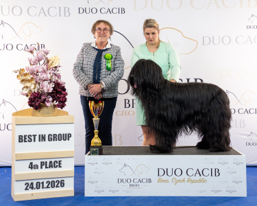 duoCACIB_final_sat (53)