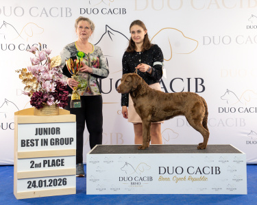 duoCACIB_final_sat (63)