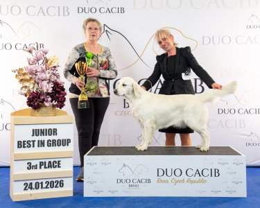 duoCACIB_final_sat (64)