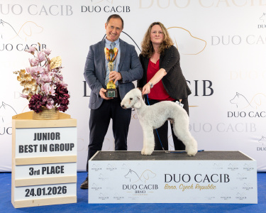 duoCACIB_final_sat (79)