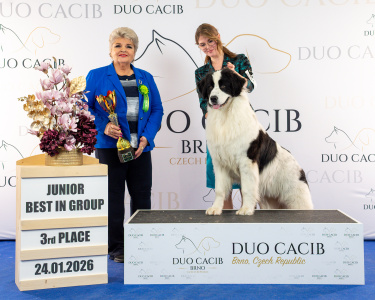 duoCACIB_final_sat (83)