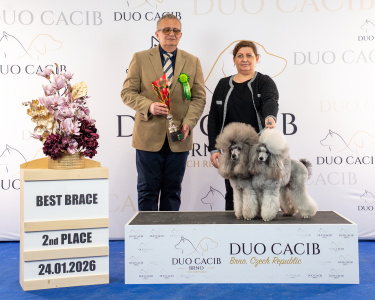 duoCACIB_final_sat (94)