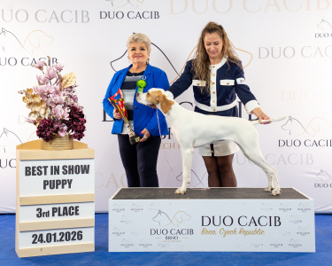 duoCACIB_final_sat (98)