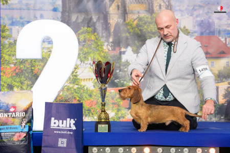 LH100154_hajekphotography.cz