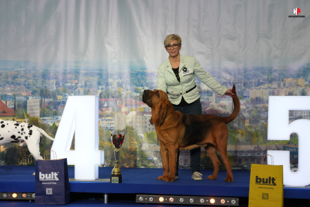 LH101162_hajekphotography.cz