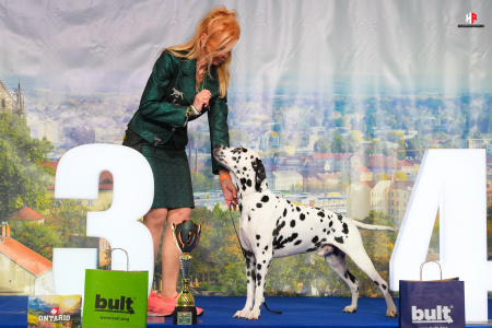 LH101206_hajekphotography.cz