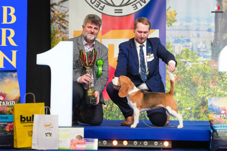 LH101269_hajekphotography.cz