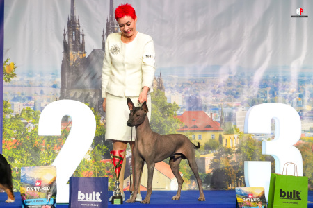 LH101519_hajekphotography.cz