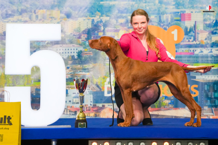 LH101615_hajekphotography.cz