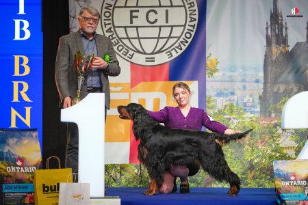 LH101656_hajekphotography.cz