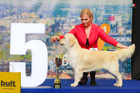 LH102291_hajekphotography.cz