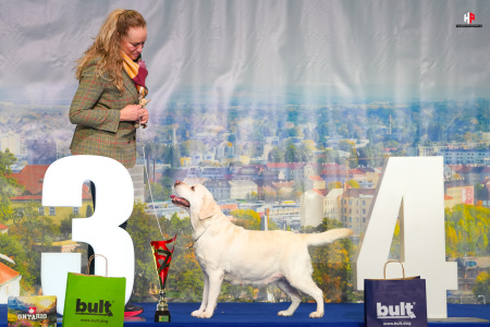 LH102382_hajekphotography.cz