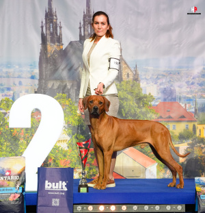 LH102999_hajekphotography.cz