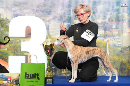 LH103120_hajekphotography.cz