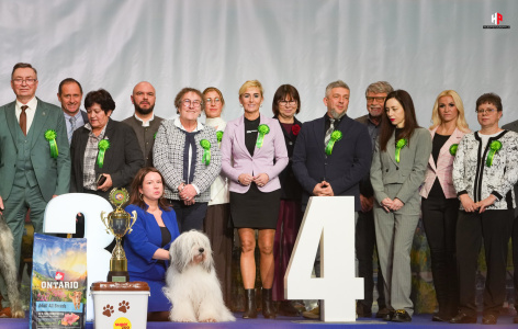 LH104152_hajekphotography.cz