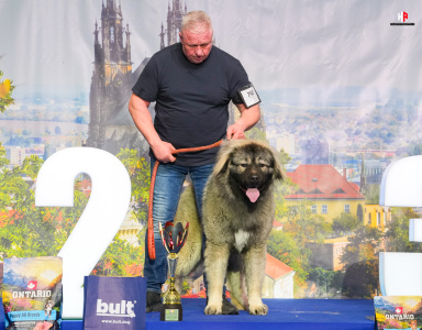 LH105392_hajekphotography.cz