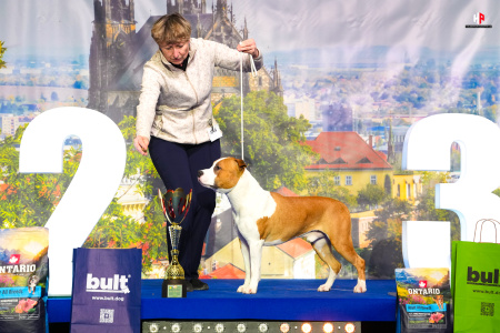 LH105713_hajekphotography.cz