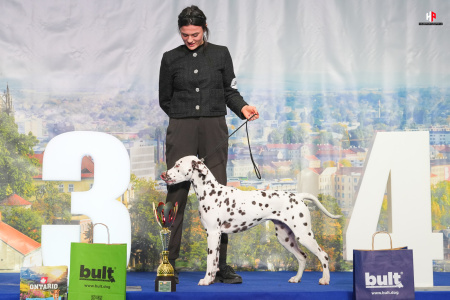 LH106683_hajekphotography.cz